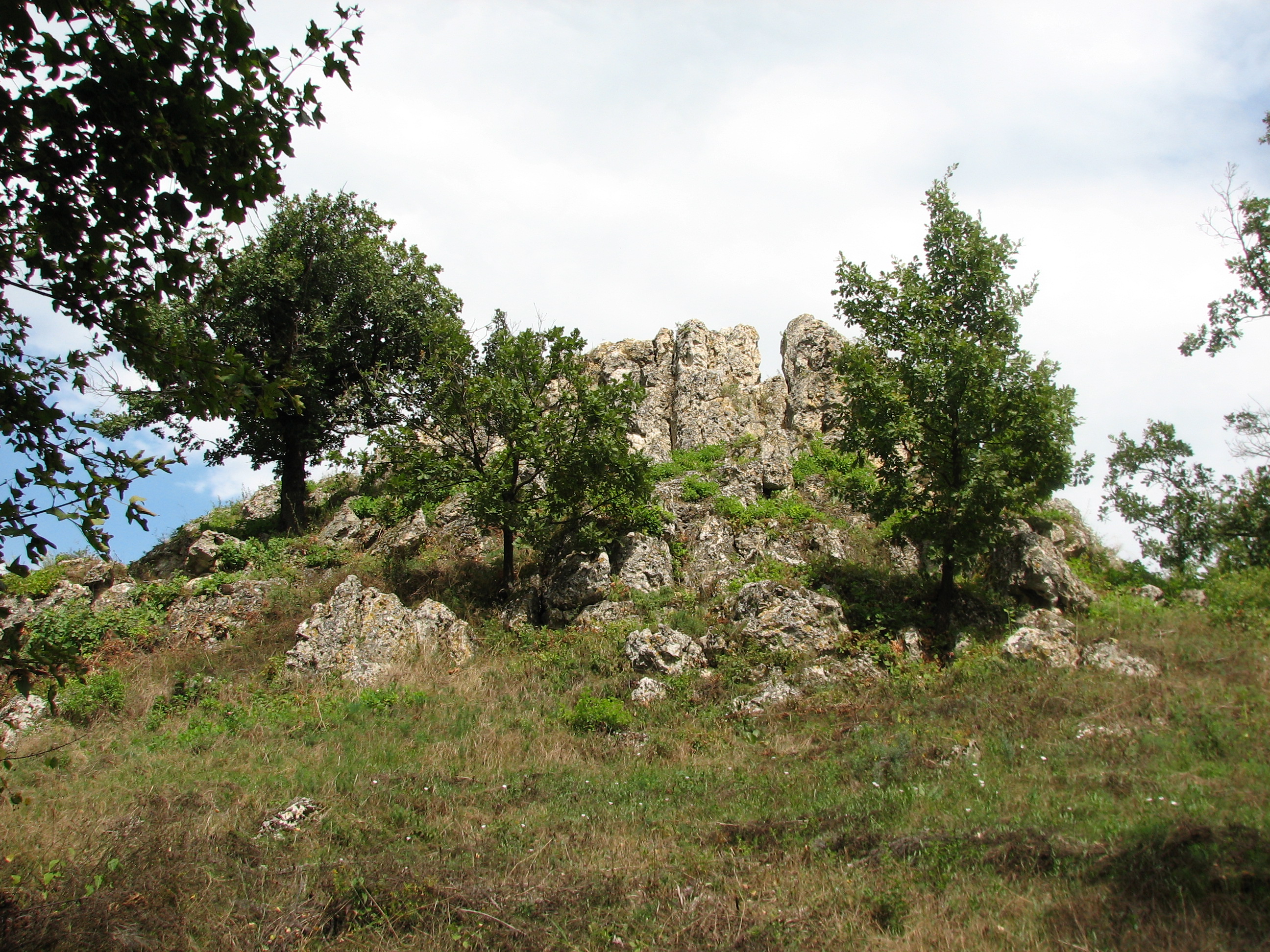 Tihany, gejz�rk�p